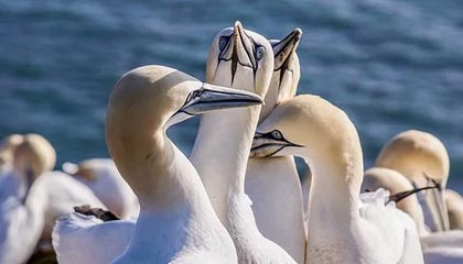 另类解读：隐形斗篷研究 · 档案6407