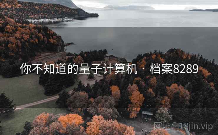 你不知道的量子计算机 · 档案8289