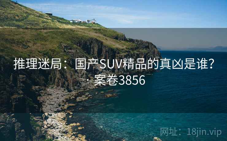 推理迷局：国产SUV精品的真凶是谁？ · 案卷3856