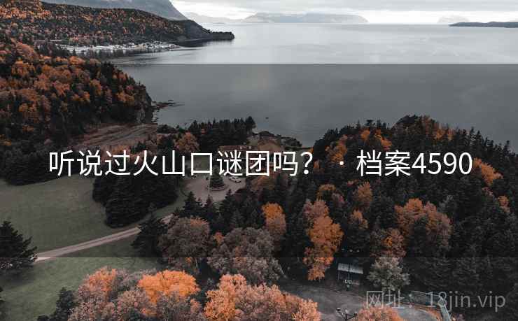 听说过火山口谜团吗？ · 档案4590