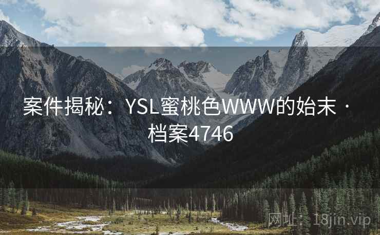 案件揭秘：YSL蜜桃色WWW的始末 · 档案4746
